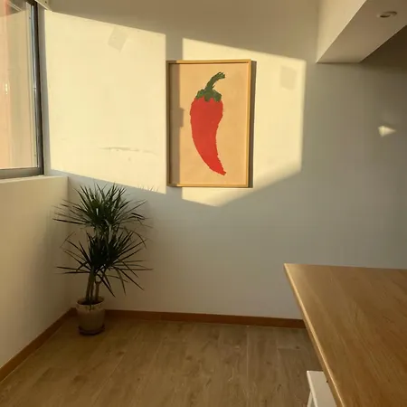 Apartment Puro Sao Jacinto