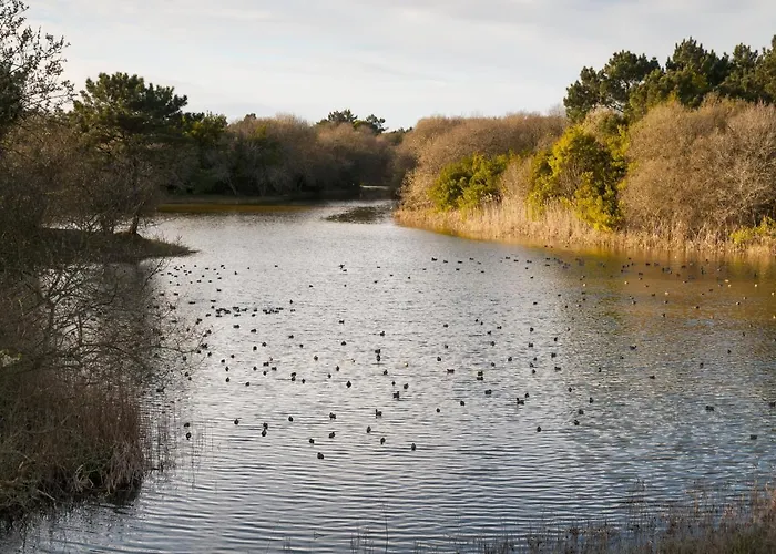 Apartment Puro Sao Jacinto Aveiro