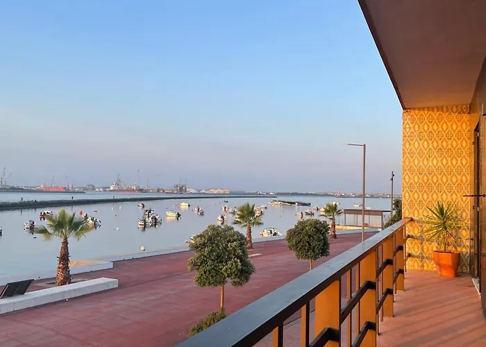 Puro Sao Jacinto Aveiro