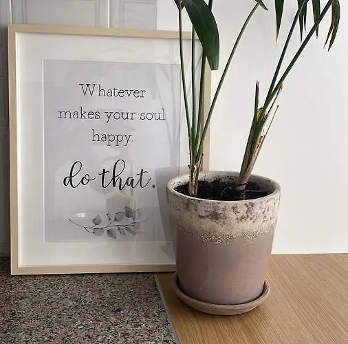 Puro Sao Jacinto Aveiro