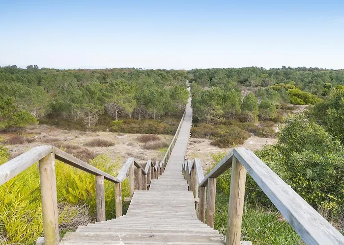 Apartment Puro Sao Jacinto