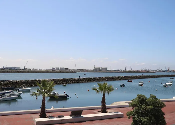 Puro Sao Jacinto Aveiro