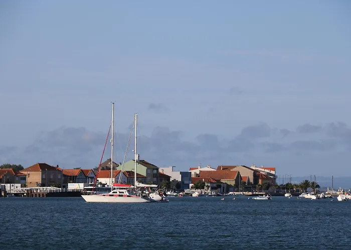 Puro Sao Jacinto Aveiro
